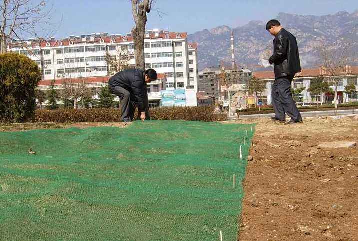 三维植被网选择山东万旭好